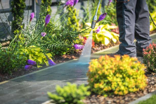 Best Animal Enclosure Cleaning  in Abilene, TX